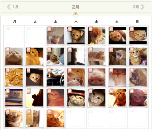 cats calendar