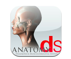ds-anotmy-logo ds-anotmy-logo