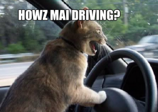 mai-driving mai-driving