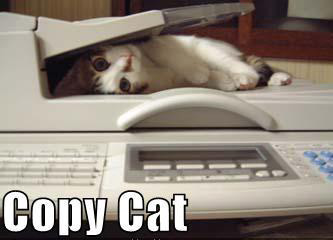 copycat copycat
