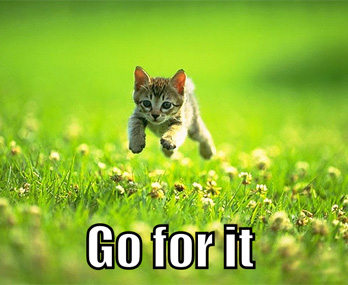 go-for-it.jpg