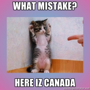 guilty-kitten-canada guilty-kitten-canada