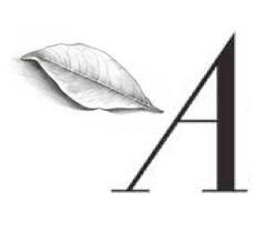 the-atlantic-tln the-atlantic-tln