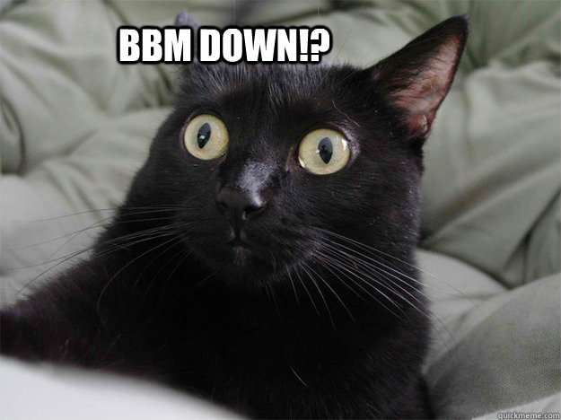 RIM Says BlackBerry Messenger Error Resolved