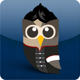 chinese-owly2