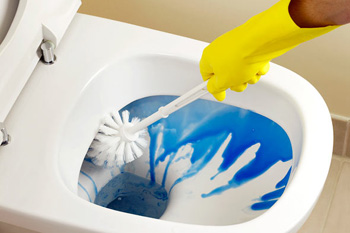 toilet-brush toilet-brush