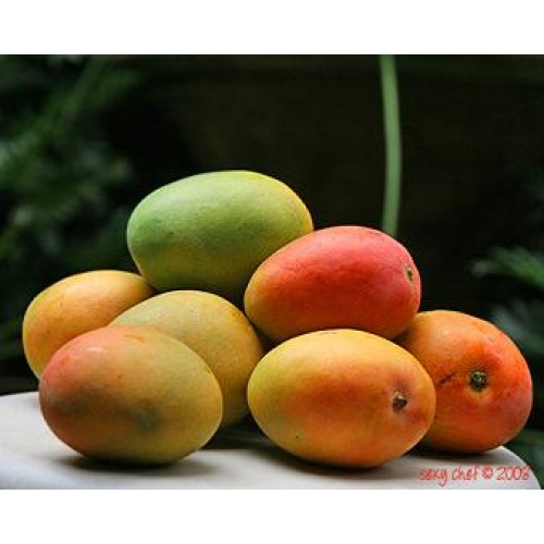 Fresh Foods E-Tailer RumahSegar Wants Jakarta Residents to Eat Healthier