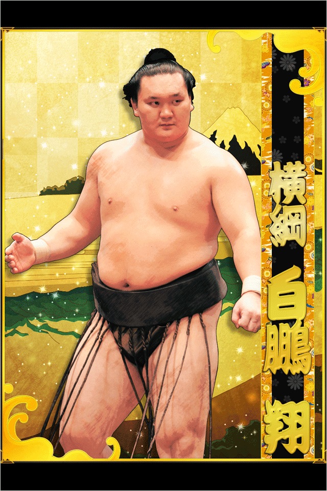 sumo photo 3