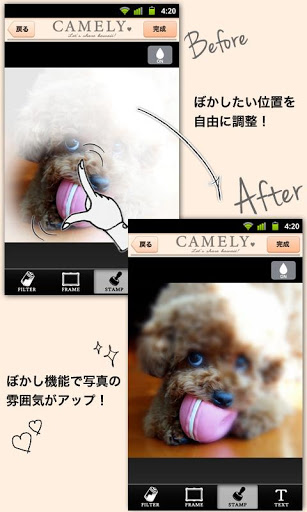 camely-3