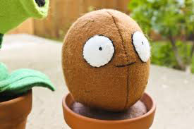 pvz-nut pvz-nut