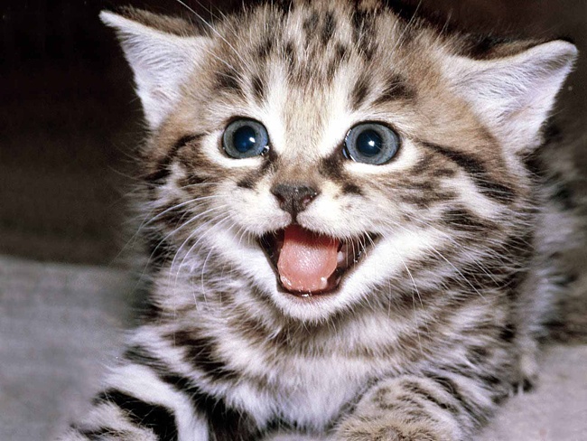 On Choosing Startup Employment: Why I’m the Happiest I’ve Ever Been
