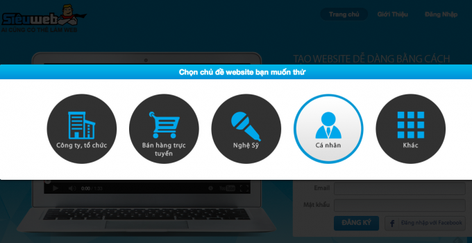 These are the choices that Sieu Web offers so far, including: small business, e-commerce, musical artist, individual, and other.