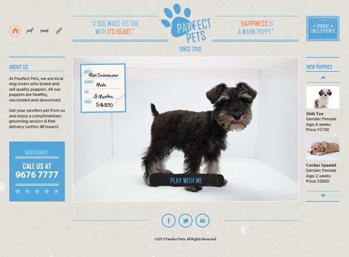 Pawfect Pets 1