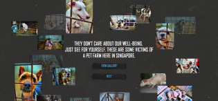 PawfectPets.sg Cruel Images