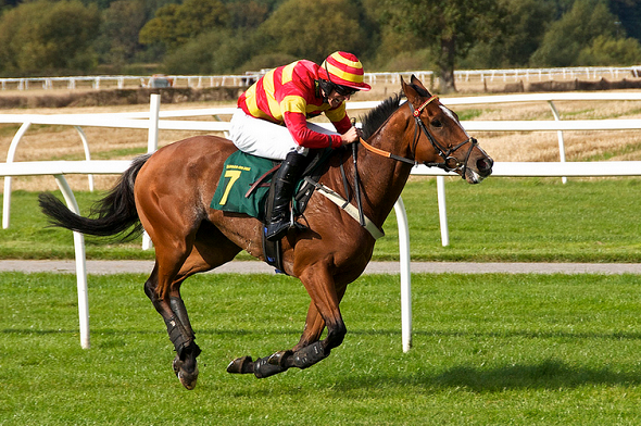 Should investors bet on the horse or jockey?