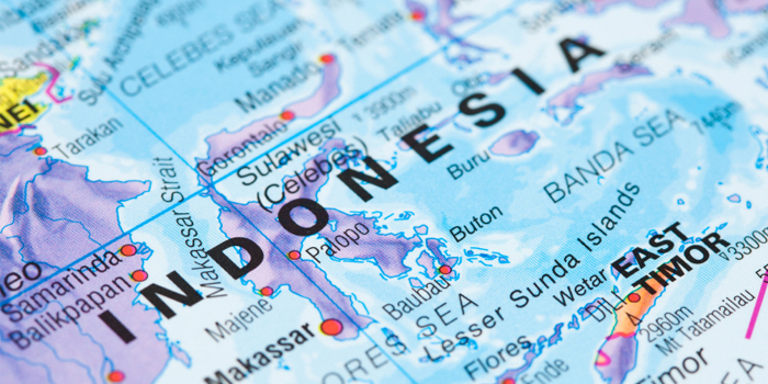 Indonesian government isn't halting foreign investments