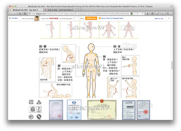 Chinese e-commerce site draws anger for global sales of child-size sex doll - 4