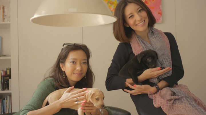What’s Uber’s strategy for gaining users in Asia? Puppies.