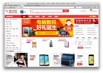 Jingdong 2013 sales revenue