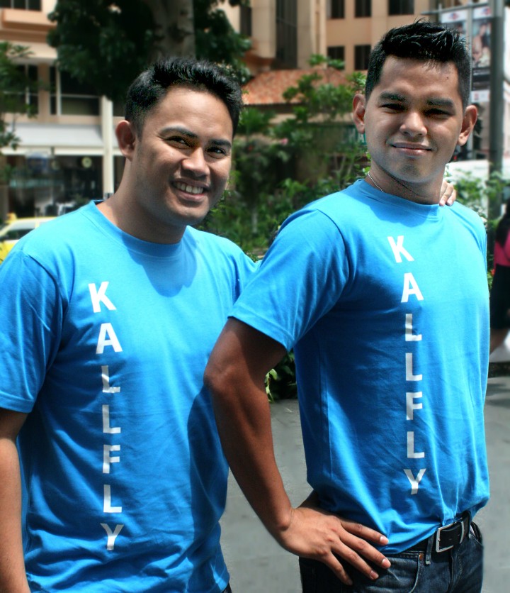 Kallflypicture2