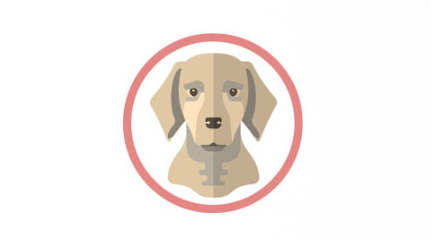 Instead of Yo-ing, you can now Bark at your friends Instead of Yo-ing, you can now Bark at your friends