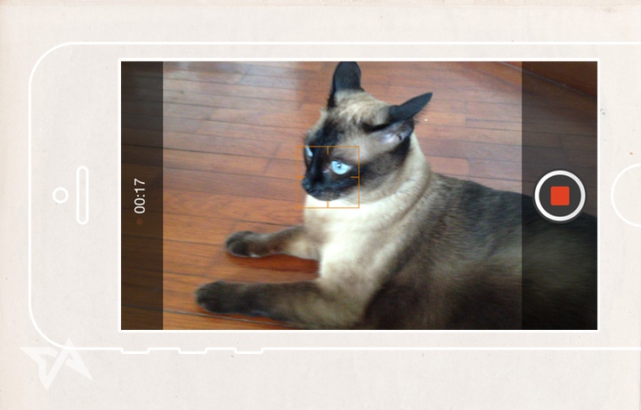Sina Weibo updates iOS app, now supports video uploads