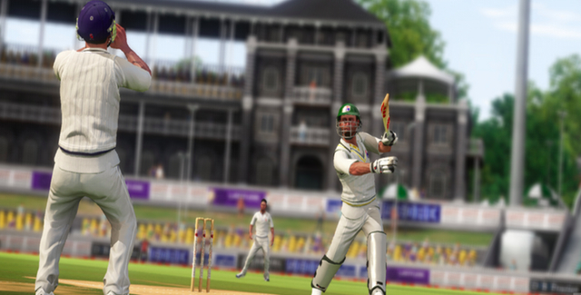 cricket-14