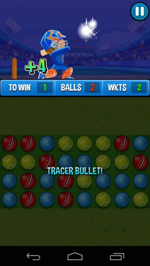 Cricket Match Screenshot
