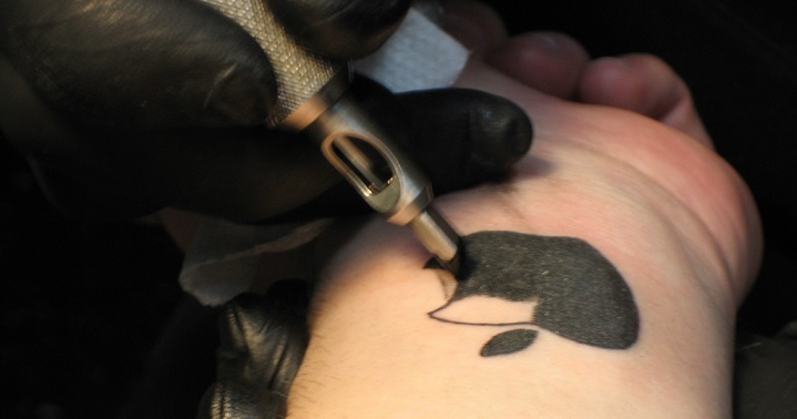 apple craze