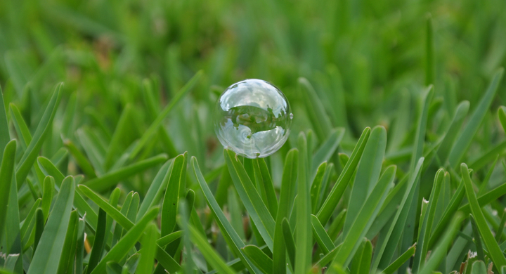 bubble