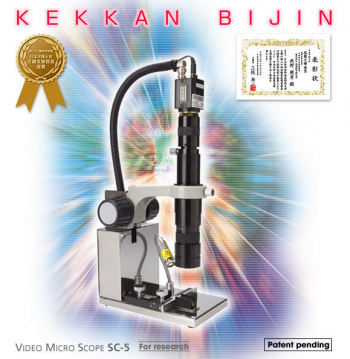 Kekkanbijin