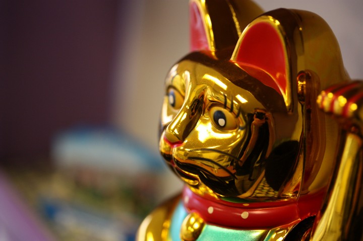 maneki neko cat