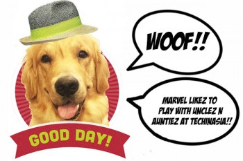 marvel-tech-in-asia-dog