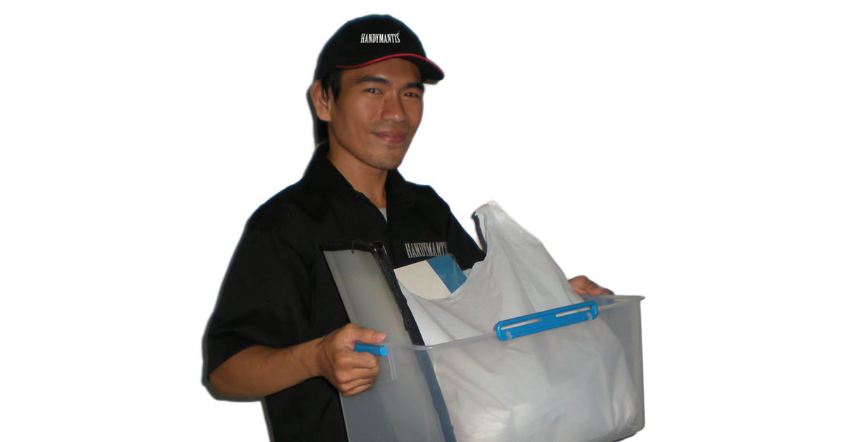 HandyMantis driver 1