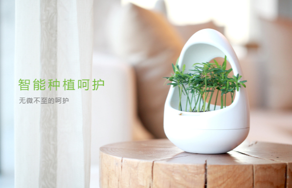 Intelligent Ambient Light Green Mile planting - Jingdong raise public