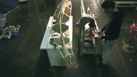 protei gif