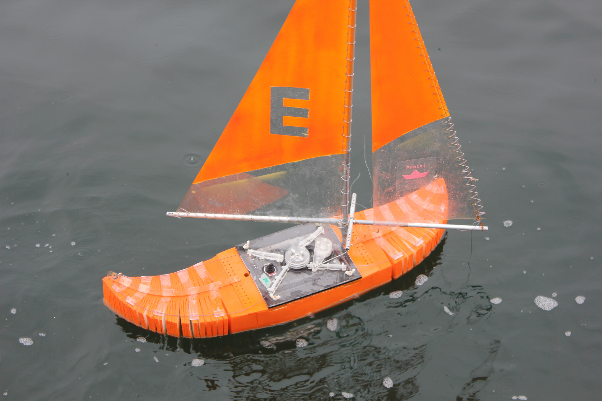 protei orange