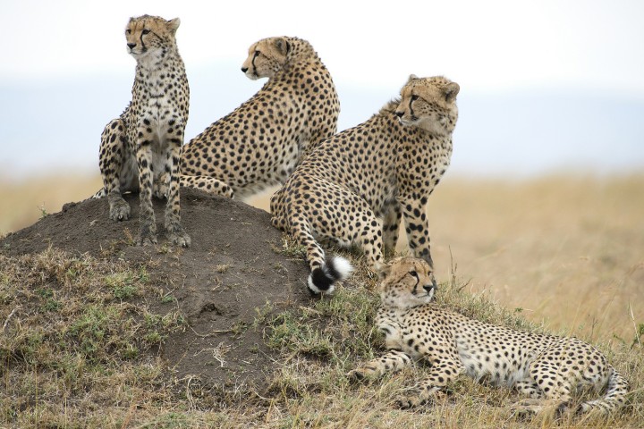 12496365583_07d5b52514_k