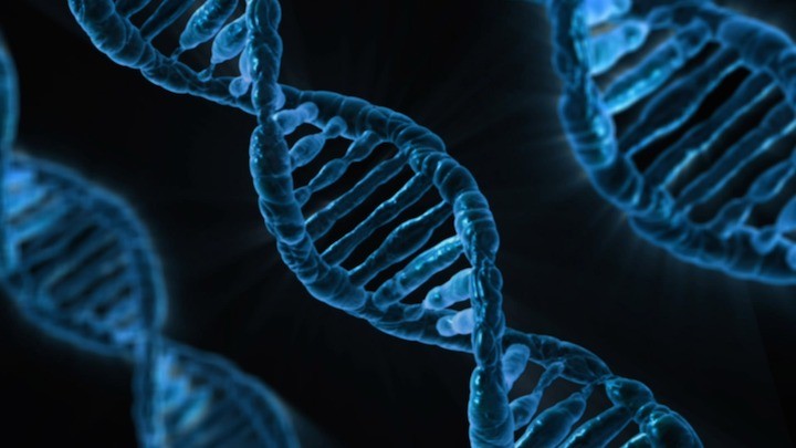 DNA mapmygenome