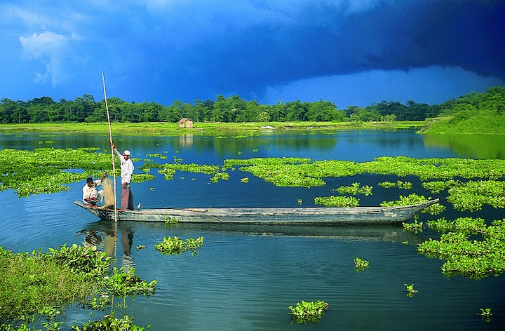 majuli assam
