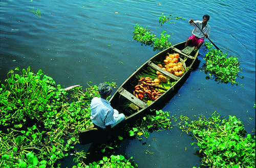 Photo credit: Kerala Tourism Logistics in India can be tough.