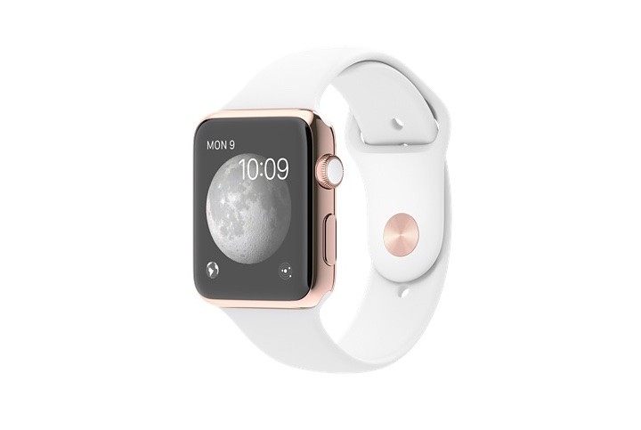 No, the Apple Watch Edition did not 