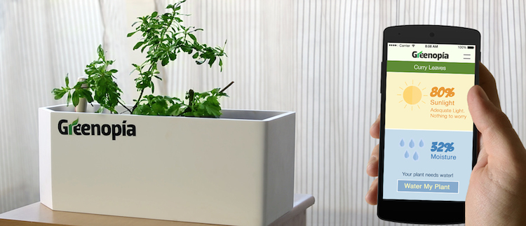 This self-watering flower pot just hit its crowdfunding goal