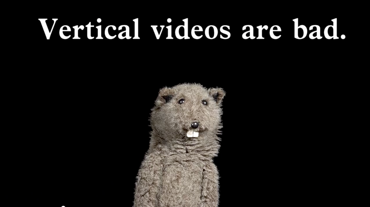 Eliminate the scourge of vertical video shots on smartphones!