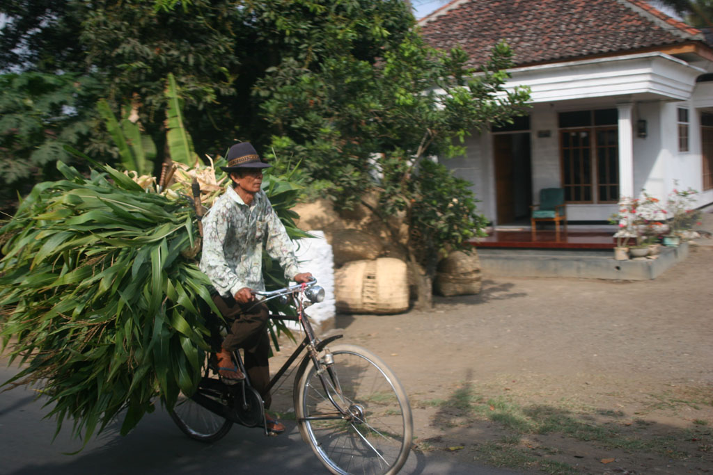 farmer in rural indonesia