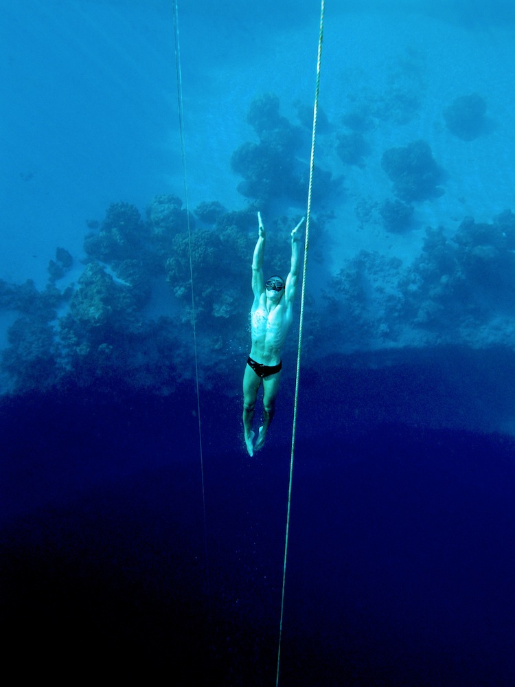 Plunge Free Dive game, raising awareness of Maui's dolphins