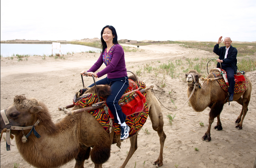 china tourists camel