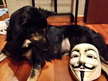 Anonymity~