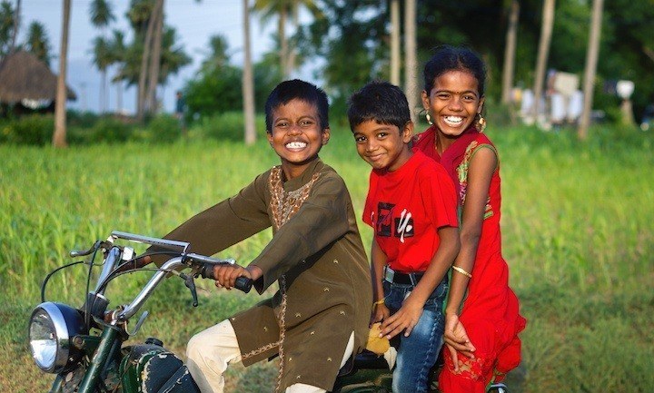 Green India sunny