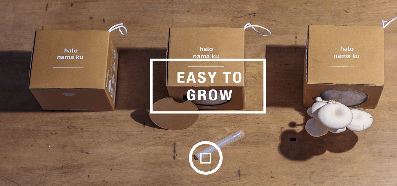Growbox-Tech-in-Asia-Jakarta-Tour-Bandung-startups
